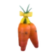 Carrot Bushel