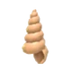 Musical Conch