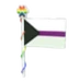 Demi Flag 2023