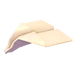 Paper Plane Throw Toy