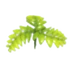 Fern Propeller