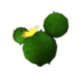 Cactus Balloon
