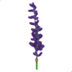 Lavender Bundle
