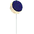 Eclipse Balloon