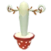 Mushroom Pogo