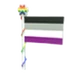 Ace Flag 2023
