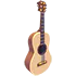 Camper's Guitar