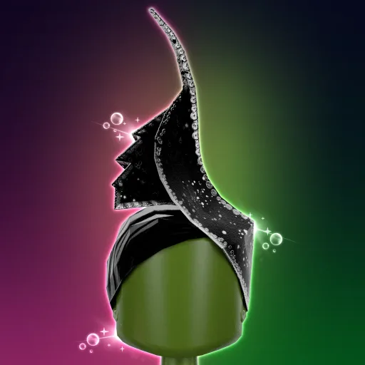 PT Elphaba's Hat