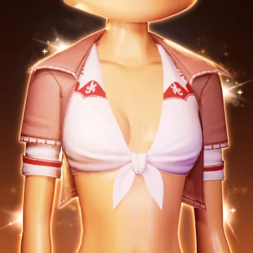 Western Shirt