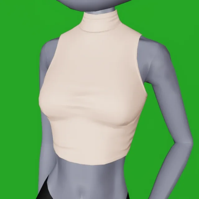 Cropped Turtle Neck