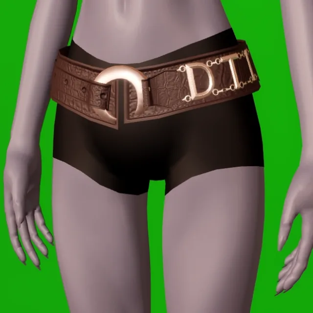 DTI Belt