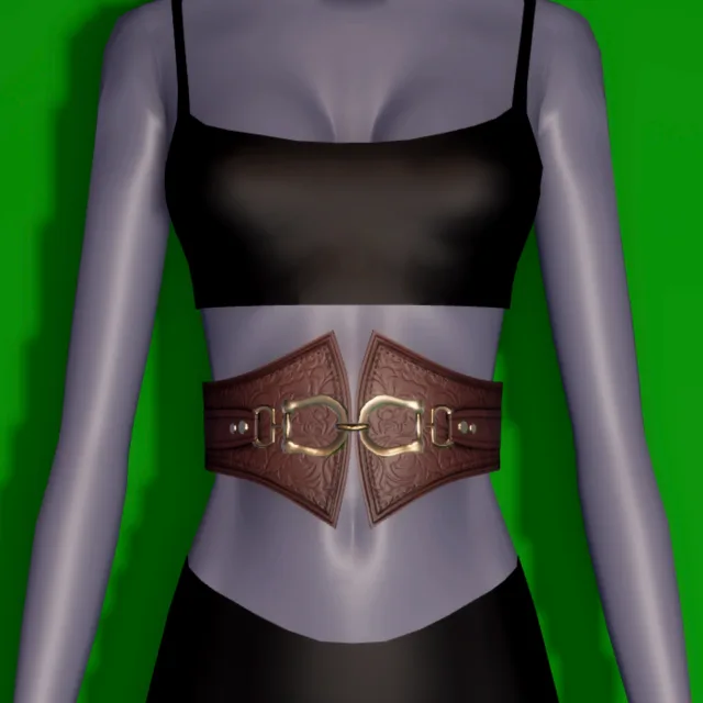 High-Waisted Belt