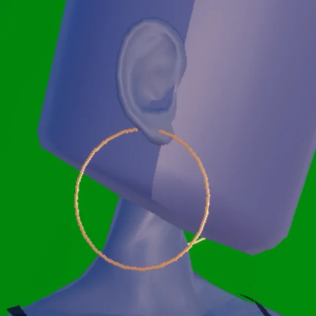 Hoop Earrings