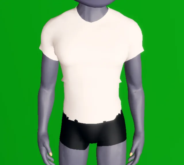 Men's T-shirt