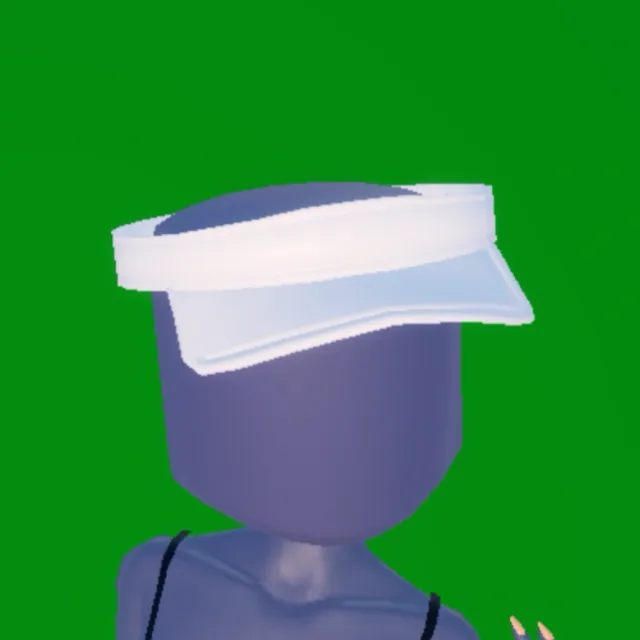 Visor