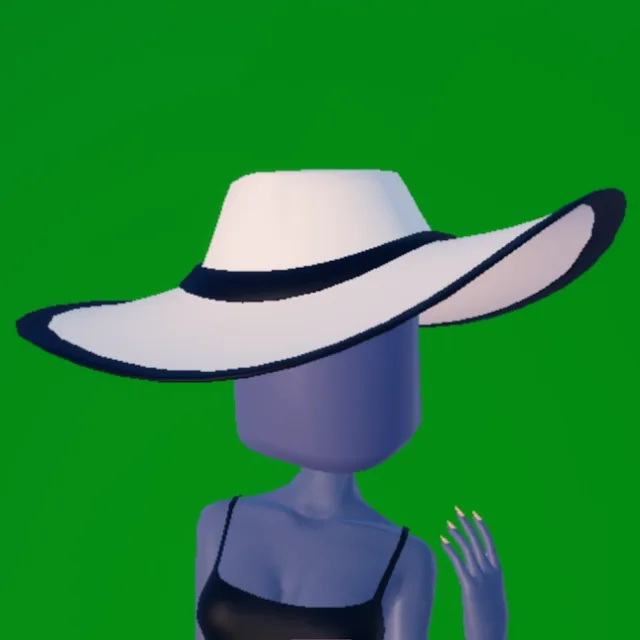 Wide Brim Sun Hat