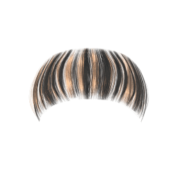 Bangs 003