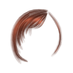 Bangs 005