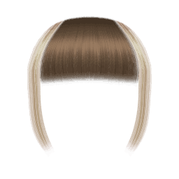 Bangs 008