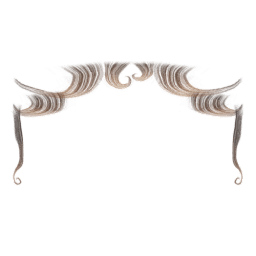 Bangs 011