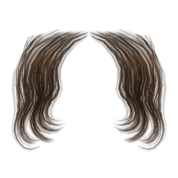 Bangs 014