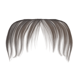 Bangs 017