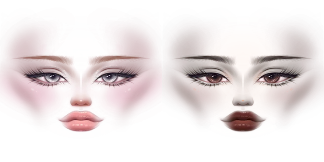 Classic Feminine Makeup 100