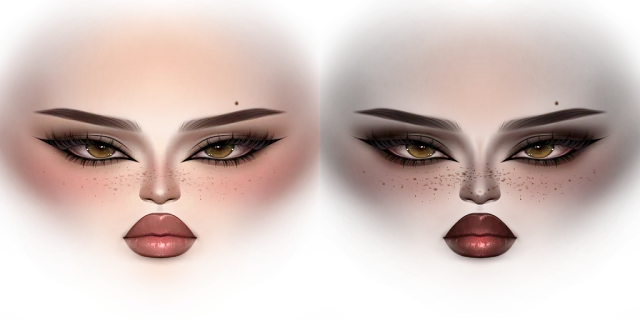 Classic Feminine Makeup 011