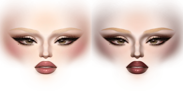 Classic Feminine Makeup 067