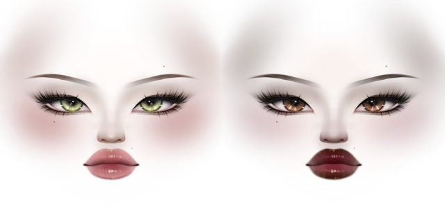 Classic Feminine Makeup 072
