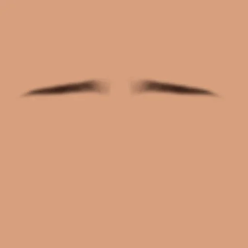 Custom Eyebrows 002