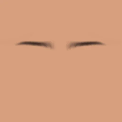 Custom Eyebrows 003