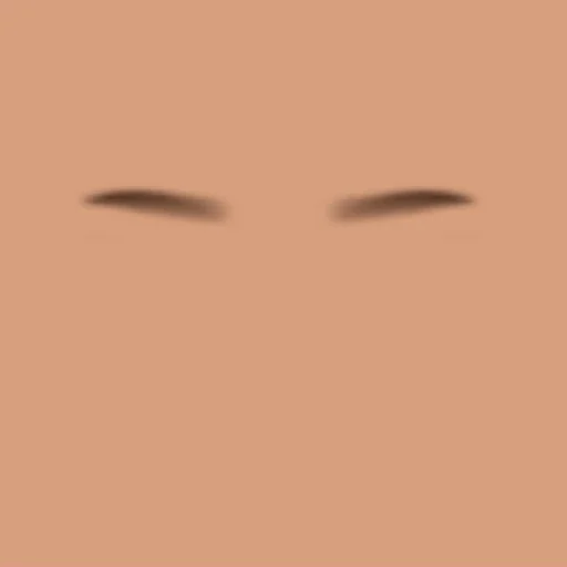 Custom Eyebrows 004