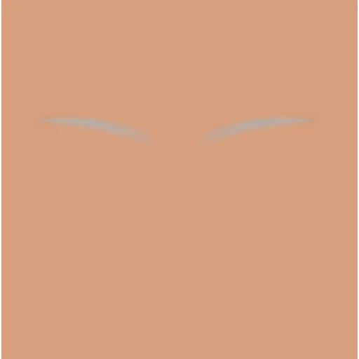 Custom Eyebrows 009