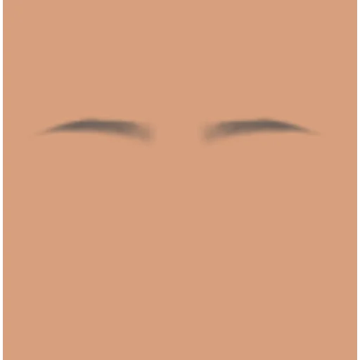 Custom Eyebrows 010