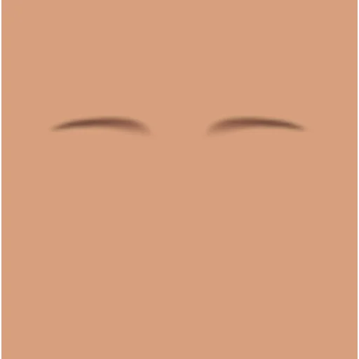 Custom Eyebrows 011