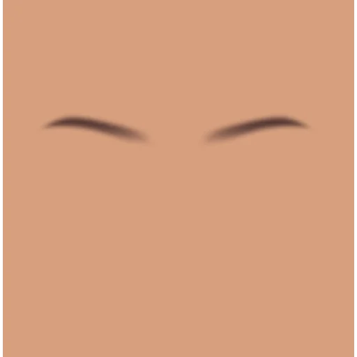 Custom Eyebrows 012