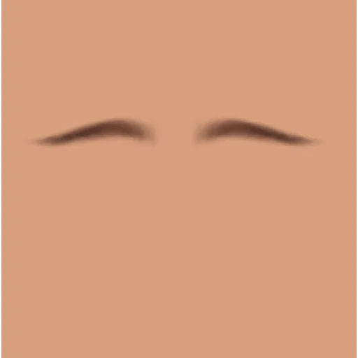 Custom Eyebrows 014