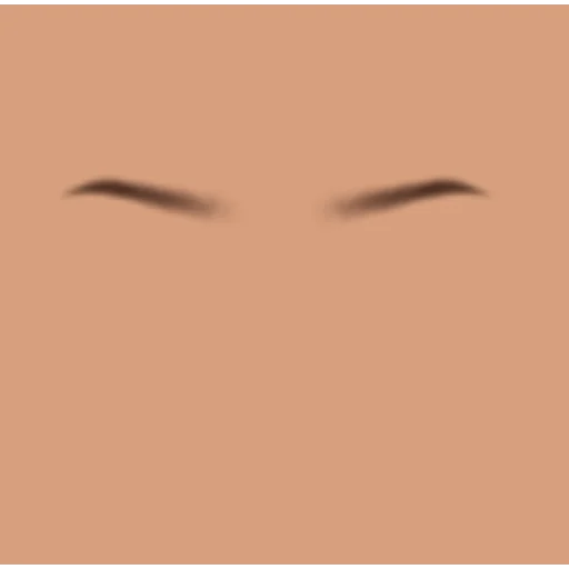 Custom Eyebrows 015