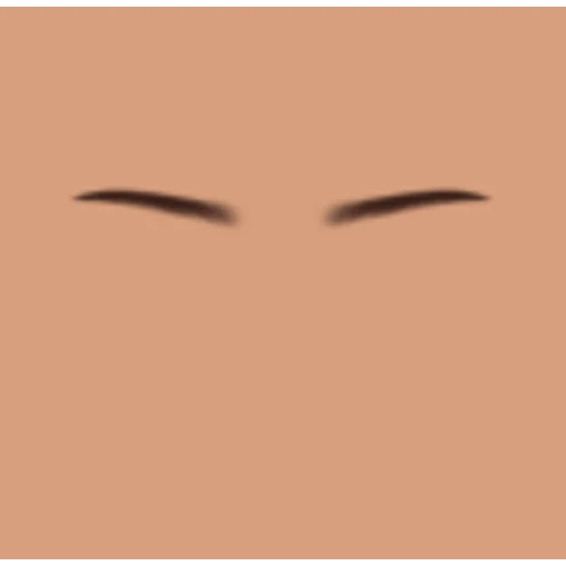 Custom Eyebrows 017