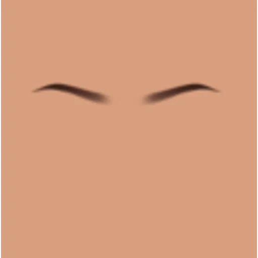 Custom Eyebrows 018
