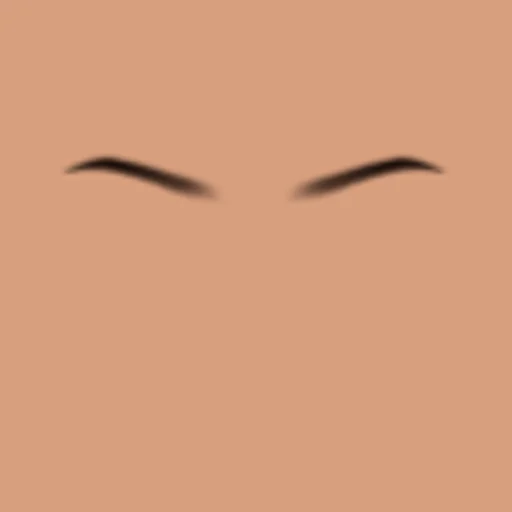 Custom Eyebrows 020