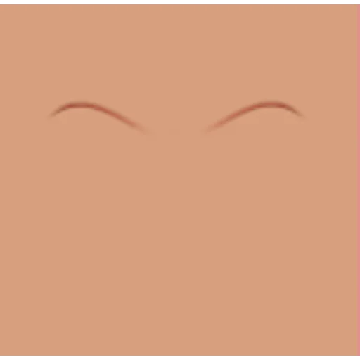 Custom Eyebrows 021