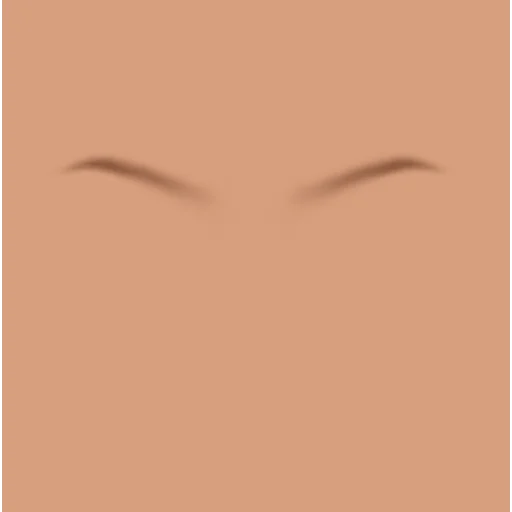 Custom Eyebrows 023