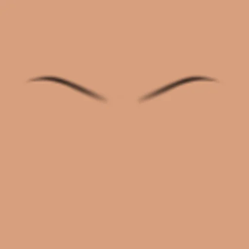 Custom Eyebrows 024