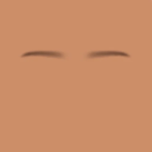 Custom Eyebrows 025