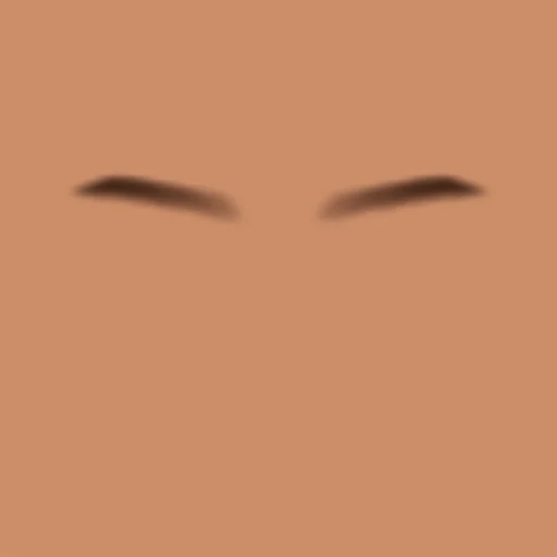 Custom Eyebrows 026