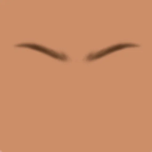 Custom Eyebrows 027