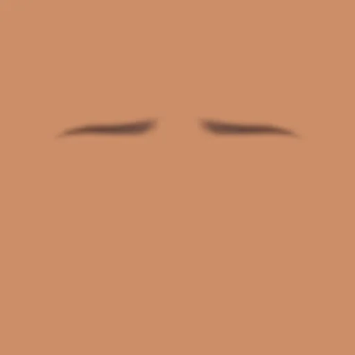 Custom Eyebrows 028