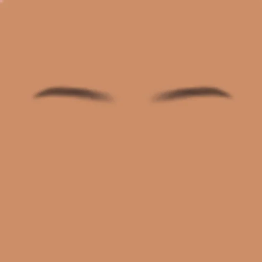 Custom Eyebrows 029